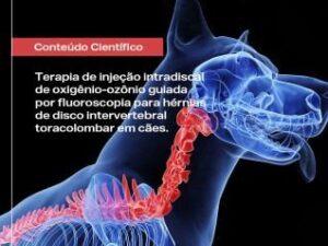 Ozonioterapia em hérnias de disco intervertebral toracolombar em cães