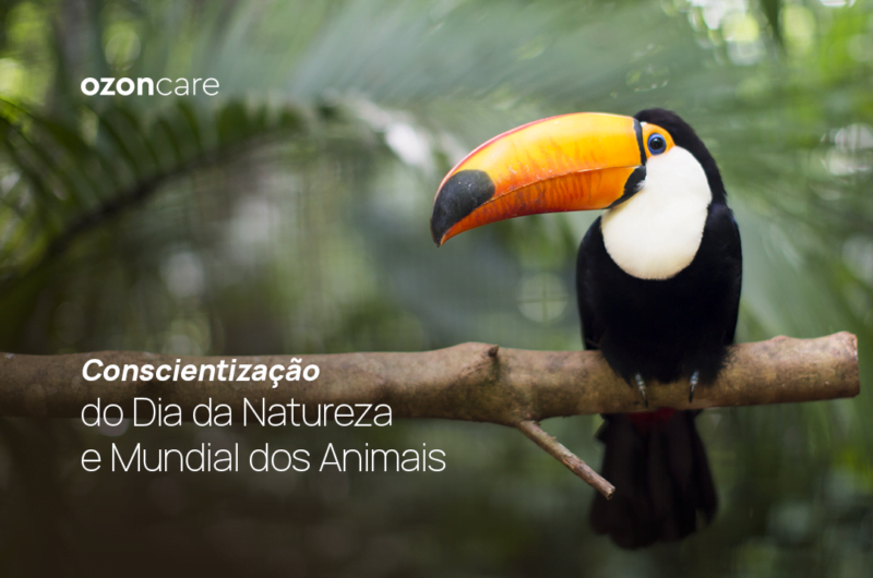 Conscientização do Dia da Natureza e Mundial dos Animais