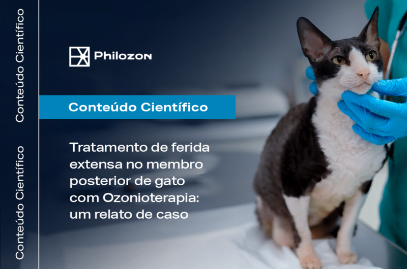 Tratamento de ferida de gato com ozonioterapia