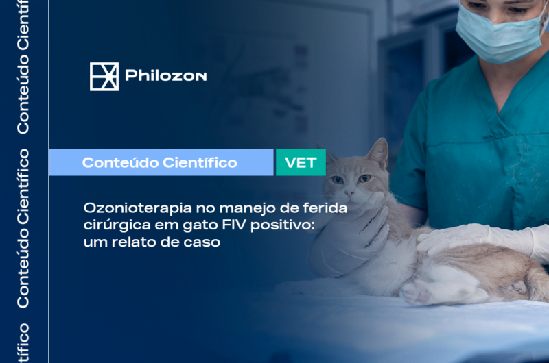 Ozonio no tratamento de ferida cirurgica em gato FIV positivo Philozon | Geradores de Ozônio