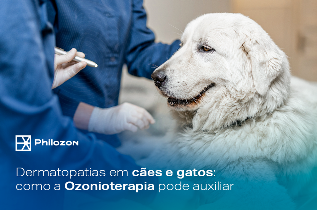 Dermatopatias em caes e gatos como a Ozonioterapia pode auxiliar Philozon | Geradores de Ozônio