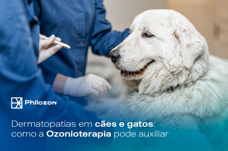 Dermatopatias em caes e gatos como a Ozonioterapia pode auxiliar Philozon | Geradores de Ozônio