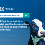 Já ouviu falar da endometrite em vacas? e o que o ozônio tem a ver com isso?