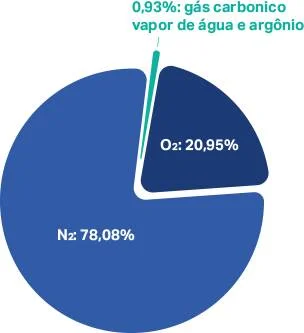 medicinal pizza Philozon | Geradores de Ozônio