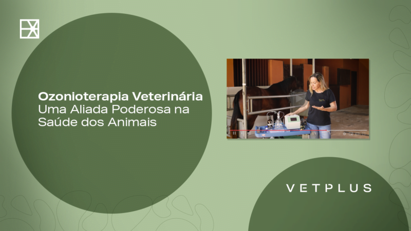 Ozonioterapia Veterinária