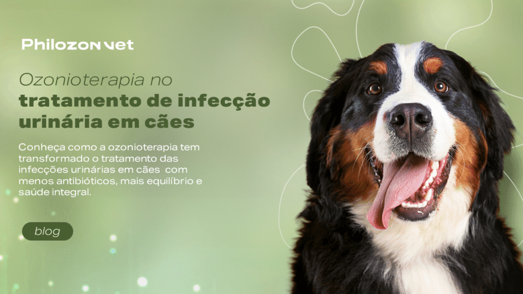 Prancheta 1 Philozon | Geradores de Ozônio