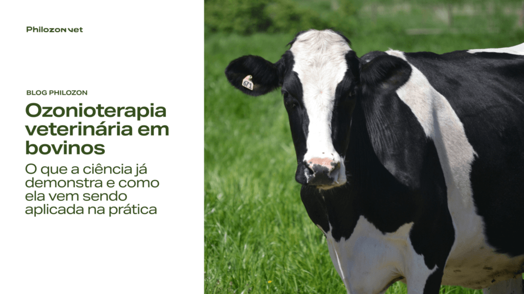 Copia de blog vet Philozon | Geradores de Ozônio