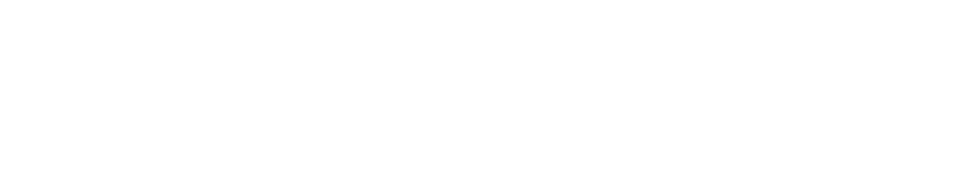 Philozon GO